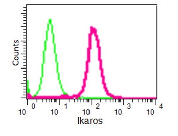 Flow Cytometric analysis of MOLT4 cells (paraformaldehyde-fixed, 2%) labeling Ikaros with ab191394 at 1/130 dilution (red) or a rabbit IgG (negative) (green), followed by Goat anti rabbit IgG (FITC) secondary at 1/150 dilution.