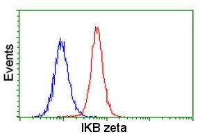 Flow cytometric Analysis of HeLa cells, using ab118402(Red), compared to a nonspecific negative control Mouse monoclonal antibody (Blue).