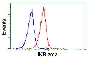 Flow cytometric analysis of Jurkat cells, using ab118402(Red), compared to a nonspecific negative control Mouse monoclonal antibody (Blue).