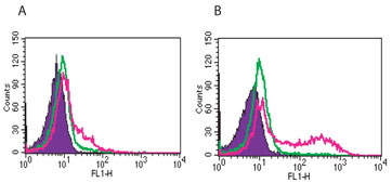 ab86897 at 0.5µg/106 cells staining IL2 Receptor alpha in human PBMCs by flow cytometry. Image A represents human PBMCs without stimulation and Image B with 24 hour ConA stimulation (5 ug/ml). Shaded histogram represents cells without antibody; green represents isotype control; red represents ab86897.