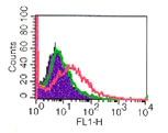 Flow analysis of IL2 Receptor alpha using ab86911 in ConA-stimulated mouse splenocytes using 0.1 ug/1x106 cells. Shaded histogram represents cells without antibody; green represents isotype control; red represents anti-IL2 Receptor alpha antibody. Mouse splenocytes were stimulated with 5 ug/ml ConA for three days prior to testing.