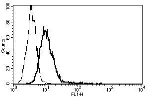 ab47215 staining IL6R on U266 cell line.