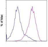 Staining of the A549 cell line with 0.5 ug of Rat IgG2b Isotype Control (ab98984) (blue histogram) or 0.5 ug of ab110167 (purple histogram) followed by Biotin Anti-Rat IgG and Sav-PE. Total viable cells were used for analysis.