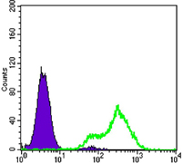 Flow cytometric analysis of LOVO cells using ab109772 at 1/200 dilution (green) or a negative control (purple).