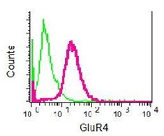 Flow cytometric analysis of permeabilized SH-SY5Y cells using ab109431 at 1/10 dilution (red) or a rabbit IgG (negative) (green).