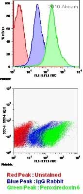 ab59543 staining Peroxiredoxin 6 in Human platelet cells by Flow cytometry.Cells were fixed in paraformaldehyde and permeabilized using 0.1% Triton-X-100 in 2% BSA for 15 minutes. Primary antibody used at a 1/200 dilution and incubated for 16 hours at 4°C. The secondary antibody used was an Alexa Fluor®488 conjugated chicken anti-rabbit IgG (H+L) at a 1/500 dilution.See Abreview