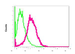 Flow cytometric analysis of permeabilized PC12 cells labeling PFDN1 with ab151708 at 1/100 dilution (red). Rabbit IgG negative control (green).