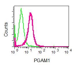 ab129191 at 1/100 dilution staining PGAM1 in permeabilized Raji cells by Flow cytometry or a rabbit IgG negative control (green).