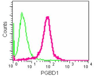 Flow cytometry analysis of HeLa cells using ab180598 at a 1/20 dilution (red) or a rabbit monoclonal IgG (negative) (green). Goat anti rabbit IgG (FITC) secondary used at a 1/150 dilution.