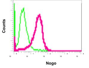 Flow cytometry analysis of permeabilized HeLa cells labeling Nogo (red) with ab180847 at a 1/10 dilution, or negative control rabbit IgG (green)