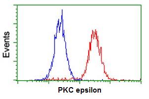 ab114034 at 1/100 dilution staining PKC epsilon in HeLa cells by Flow cytometry (Red) compared to a nonspecific negative control antibody (Blue).