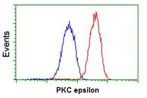 ab114034 at 1/100 dilution staining PKC epsilon in Jurkat cells by Flow cytometry (Red) compared to a nonspecific negative control antibody (Blue).