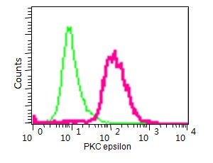 Flow cytometry analysis of SH-SY5Y cells labelling PKC epsilon with purified ab124806 (red) at 1/200. Cells were fixed with 2% paraformaldehyde. A FITC-conjugated goat anti-rabbit IgG (1/150) was used as the secondary antibody. Green - Isotype control, rabbit monoclonal IgG.