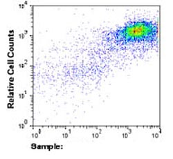 5 x 106 SK-MEL-28 cells were incubated with 5µg of ab83508, followed by APC-GtxMs IgG incubation.