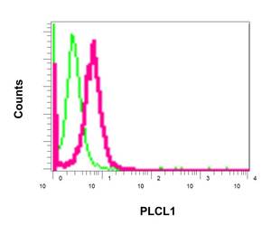 Flow cytometry analysis of permeabilized Jurkat cells labeling PLCL1 (red), using ab157200 at a 1/100 dilution, and negative control cells probed with a Rabbit IgG (green)
