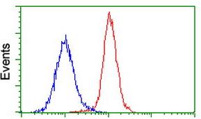 Flow cytometry image staining HeLa cells, using ab117849 at a 1/100 dilution (Red), and a nonspecific negative control antibody (Blue).