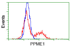 ab118047 at 1/1000 dilution staining PPME1 in HEK293T cells transiently transfected by pCMV6-ENTRY PPME1 by Flow cytometry (Red) or empty vector control plasmid (Blue).