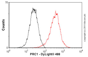 Overlay histogram showing HeLa cells stained with ab51248 (red line). The cells were fixed with 80% methanol (5 min) and then permeabilized with 0.1% PBS-Tween for 20 min. The cells were then incubated in 1x PBS / 10% normal goat serum / 0.3M glycine to block non-specific protein-protein interactions followed by the antibody (ab51248, 1/100 dilution) for 30 min at 22ºC. The secondary antibody used was DyLight® 488 goat anti-rabbit IgG (H+L) (ab96899) at 1/500 dilution for 30 min at 22ºC. Isotype control antibody (black line) was rabbit IgG (monoclonal) (1µg/1x106 cells) used under the same conditions. Acquisition of >5,000 events was performed.