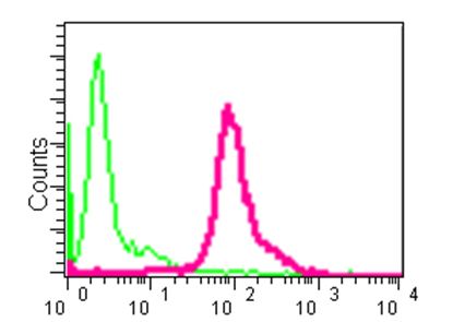 Flow cytometric analysis of paraformaldehyde-fixed Ramos cells labeling Proapoptotic Caspase Adaptor Protein with ab181205 at 1/210 dilution. Goat anti-rabbit IgG (FITC) at 1/150 dilution was used as the secondary antibody. Rabbit monoclonal IgG was used as the isotype control.
