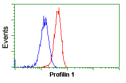 ab118984 at 1/100 dilution staining Profilin 1 in HeLa cells by Flow cytometry (Red) compared to a nonspecific negative control antibody (Blue).