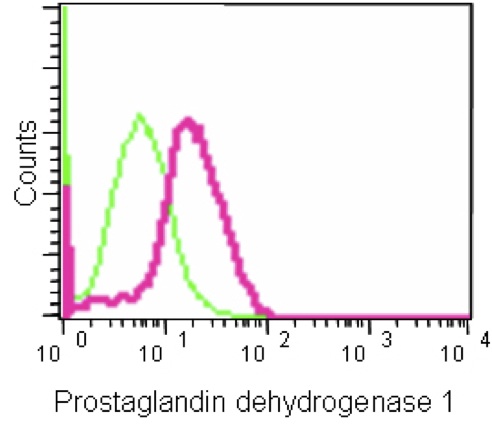 Flow Cytometrical analysis of Caco-2 cells labeling Prostaglandin dehydrogenase 1 with ab187160 at 1/90 compared to a Isotype control. FITC-conjugated goat-anti-rabbit secondary antibody at 1/150 used for the analysis.