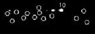 Luminograph of human placental proteasome preparation after 2D PAGE followed by blotting onto nitrocellulose and probing with ab22668. Antibody dilution 1:1000 using ECL procedure (1 min exposure).