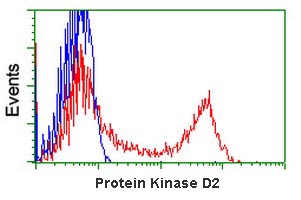 ab118987 at 1/100 dilution staining Protein Kinase D2 in HEK293T cells transfected with either pCMV6-ENTRY Protein Kinase D2 overexpress plasmid (Red) or empty vector control plasmid (Blue) by flow cytometry.