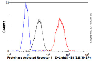 Overlay histogram showing A549 cells stained with ab56359 (red line). The cells were fixed with 80% methanol (5 min) and incubated in 1x PBS / 10% normal goat serum / 0.3M glycine to block non-specific protein-protein interactions. The cells were then incubated with the antibody (ab56359, 1µg/1x106 cells) for 30 min at 22ºC. The secondary antibody used was DyLight® 488 goat anti-mouse IgG (H+L) (ab96879) at 1/500 dilution for 30 min at 22ºC. Isotype control antibody (black line) was mouse IgG1 [ICIGG1] (ab91353, 2µg/1x106 cells) used under the same conditions. Unlabelled sample (blue line). Acquisition of >5,000 events were collected using a 20mW Argon ion laser (488nm) and 525/30 bandpass filter.Please note that Abcam do not have any data for use of this antibody on non-fixed cells. We welcome any customer feedback.