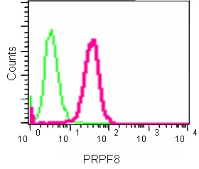 Flow Cytometry analysis of K562 cells labeling PRPF8 using ab185547 at a 1/190 dilution (pink). Goat anti rabbit IgG (FITC) used as the secondary at a 1/150 dilution. Isotype control Rabbit monoclonal IgG (green). Cells were fixed in 2% paraformaldehyde.