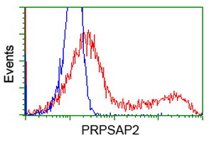 HEK293T cells transfected with a PRPSAP2 overexpress plasmid (Red) or empty vector control plasmid (Blue) were immunostained using ab119032 at 1/100 dilution and then analyzed by flow cytometry.