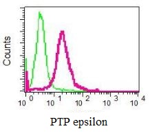 ab126788 at 1/10 dilution staining PTP epsilon in permeabilized HL60 cells by Flow cytometry (red) compared with a rabbit IgG negative control (green).