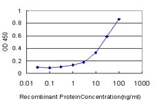 Detection limit for recombinant tagged NR1D1 is approximately 1 ng/ml as a capture antibody.
