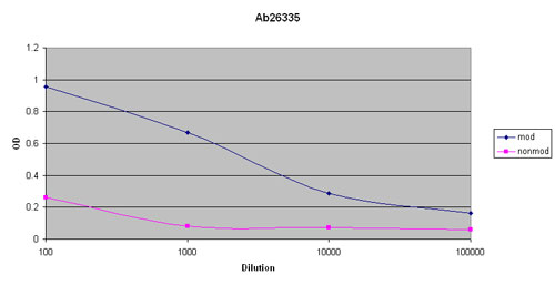 This antibody gave a positive result in ELISA against the immunizing peptide (ab28625). It gave a negative result in ELISA against the non-modified equivalent peptide (ab28626). This indicates that it is specific for the modified peptide.
