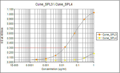 Elisa using ab31769 at varying antibody concentrations. Curve_SPL3 indicates binding to the Rad51 (phospho T309) peptide. Curve_SPL4 indicates <2% crossreactivity with the unmodified Rad51 control peptide.