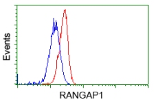 ab119092 at 1/100 dilution staining RanGAP1 in HeLa cells by Flow cytometry (Red) compared to a nonspecific negative control antibody (Blue).