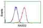 Flow cytometric Analysis of Hela cells, using anti-RASD2 antibody (ab117905),(Red), compared to a nonspecific negative control antibody (Blue).