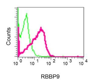 Flow cytometry analysis of permeabilized HeLa cells labeling RBBP9 (red), using ab157202 at a 1/100 dilution, and negative control cells probed with a Rabbit IgG (green)
