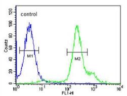 Flow cytometric analysis of 293 cells (right histogram) compared to a negative control cell (left histogram) using ab174919 at 1/10 dilution. FITC-conjugated goat-anti-rabbit secondary antibodies were used for the analysis.