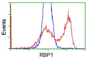 HEK293T cells transfected with either a RBP1 overexpress plasmid (Red) or empty vector control plasmid (Blue) were immunostained using ab119056 at 1/100 dilution and then analyzed by flow cytometry.