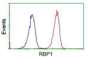 Flow cytometric analysis of RBP1 in Jurkat cells using ab119056 at 1/100 dilution (Red) compared to a nonspecific negative control antibody (Blue).