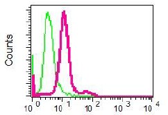 Flow cytometric analysis of permeabilized K562 cells using ab125012 at 1/10 shown in red or a rabbit IgG negative control shown in green.