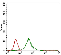 Flow cytometric analysis of HEK293 cells labeling Rex1 with ab175429 at 1/200 dilution (green) compared to a negative control (red).