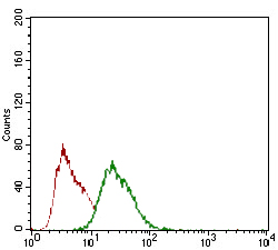 Flow cytometric analysis of HEK293 cells labeling Rex1 with ab175431 at 1/200 dilution (green) compared to a negative control (red).