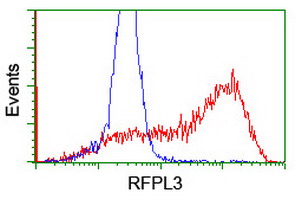ab128090 at 1/100 dilution staining RFPL3 in HEK293T cells transfected with either pCMV6-ENTRY RFPL3 (Red) or empty vector control plasmid (Blue) by Flow Cytometry.