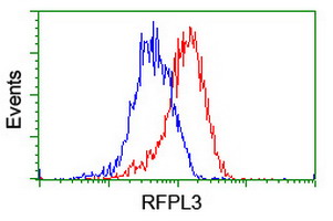 ab128090 at 1/100 dilution staining RFPL3 in HeLa cells by Flow cytometry (Red) compared to a nonspecific negative control antibody (Blue).