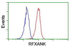 Flow cytometric analysis of Jurkat cells, using 1/100 ab119432 (Red), compared to a nonspecific negative control antibody (Blue).