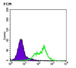 ab104838 used for Flow cytometric analysis of HeLa cells (green). The negative control is shown in purple.