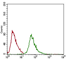 Flow Cytometrical analysis of HeLa cells labeling RING1 with ab175149 at 1/200 (green) compared to a negative control (red).