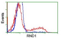 ab118993 at 1/100 dilution staining RND1 in HEK293T cells transfected with either pCMV6-ENTRY RND1 overexpress plasmid (Red) or empty vector control plasmid (Blue) by flow cytometry.