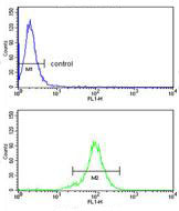 Flow cytometry analysis of MDA-MB231 cells labelling RPGRIP1 with ab135832 at 1/10 dilution (bottom histogram) compared to negative control cells (top histogram). FITC-conjugated goat-anti-rabbit secondary antibodies were used for the analysis.